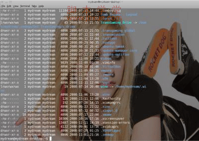 նTerminal