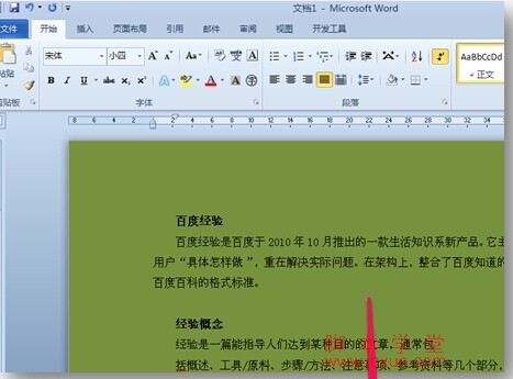 ȥword2010ĵɫͼ4