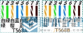 ׼ʲô
