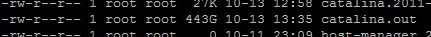 Can't start server: can't create PID file: No space left on device